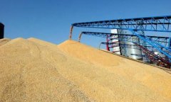 臭氧在倉儲(chǔ)業(yè)中的應(yīng)用