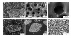 臭氧高級催化氧化降解鹽酸四環(huán)素實(shí)驗(yàn)